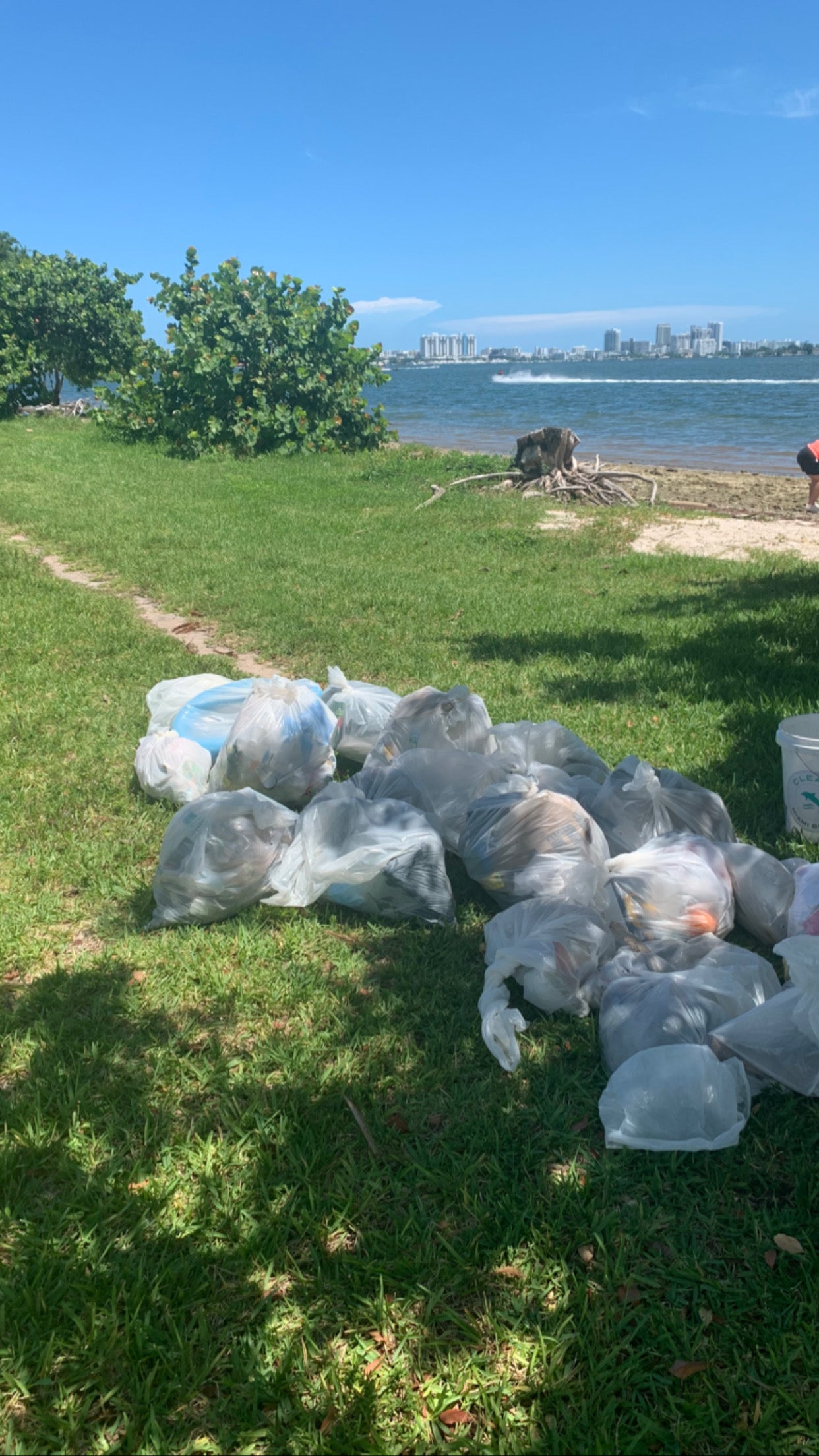ocean clean up day